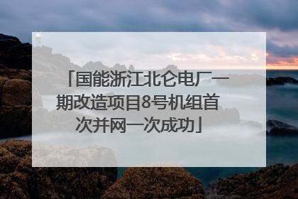 国能浙江北仑电厂一期改造项目8号机组首次并网一次成功