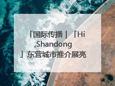 国际传播｜「Hi,Shandong」东营城市推介展亮相“从蒙马特到加里波第”文化节
