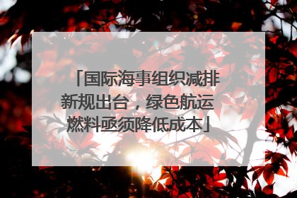 国际海事组织减排新规出台，绿色航运燃料亟须降低成本