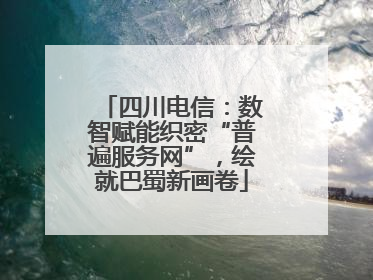 四川电信：数智赋能织密“普遍服务网”，绘就巴蜀新画卷