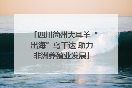 四川简州大耳羊“出海”乌干达 助力非洲养殖业发展