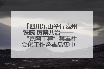 四川乐山举行嘉州铁腕 厉禁共治——“嘉网工程”禁毒社会化工作暨毒品集中销毁启动仪式
