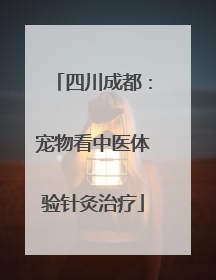 四川成都：宠物看中医体验针灸治疗