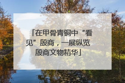 在甲骨青铜中“看见”殷商，一展纵览殷商文物精华