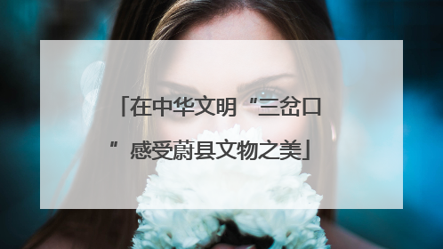 在中华文明“三岔口”感受蔚县文物之美