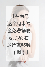在南昌 这个周末怎么免费领取栀子花 看这篇就够啦（图）
