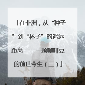 在非洲，从“种子”到“杯子”的遥远距离——一颗咖啡豆的前世今生（三）