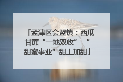 孟津区会盟镇：西瓜甘蔗“一地双收” “甜蜜事业”甜上加甜