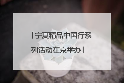 宁夏精品中国行系列活动在京举办