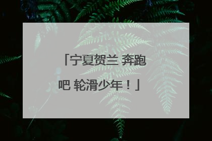 宁夏贺兰 奔跑吧 轮滑少年！