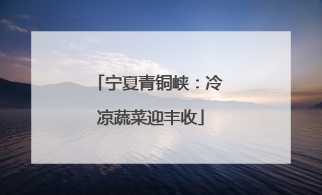 宁夏青铜峡：冷凉蔬菜迎丰收
