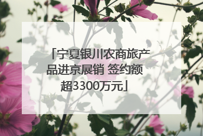 宁夏银川农商旅产品进京展销 签约额超3300万元