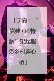 宁夏：“党建+科特派”架起服务乡村连心桥