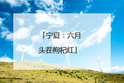 宁夏：六月头茬枸杞红