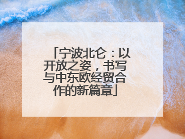 宁波北仑：以开放之姿，书写与中东欧经贸合作的新篇章