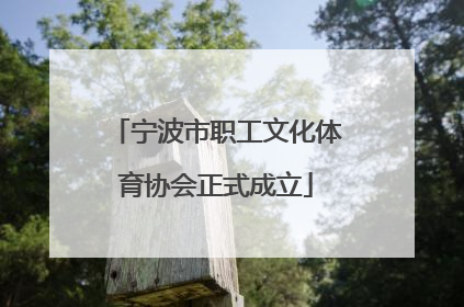 宁波市职工文化体育协会正式成立