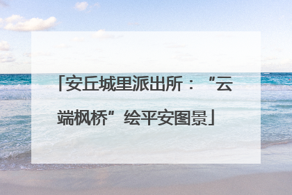安丘城里派出所：“云端枫桥”绘平安图景