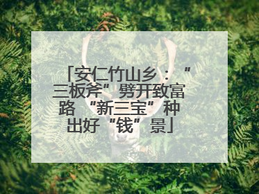 安仁竹山乡：“三板斧”劈开致富路 “新三宝”种出好“钱”景
