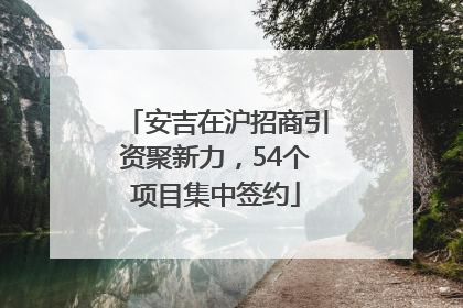 安吉在沪招商引资聚新力，54个项目集中签约