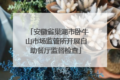 安徽省巢湖市卧牛山市场监管所开展自助餐厅监督检查