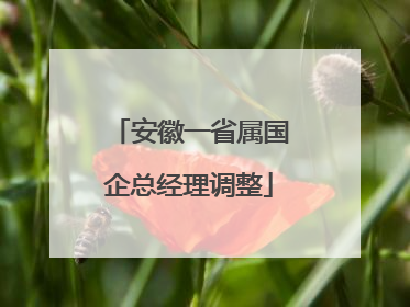 安徽一省属国企总经理调整