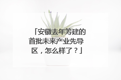 安徽去年筹建的首批未来产业先导区，怎么样了？