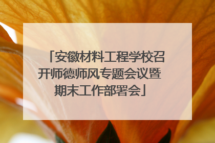 安徽材料工程学校召开师德师风专题会议暨期末工作部署会