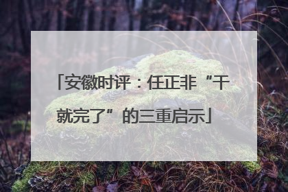 安徽时评：任正非“干就完了”的三重启示