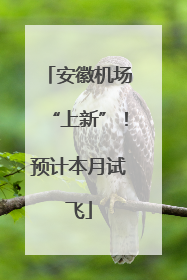 安徽机场“上新”！预计本月试飞