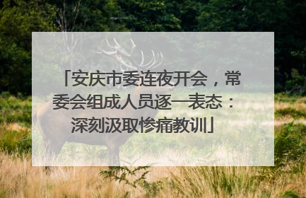 安庆市委连夜开会，常委会组成人员逐一表态：深刻汲取惨痛教训