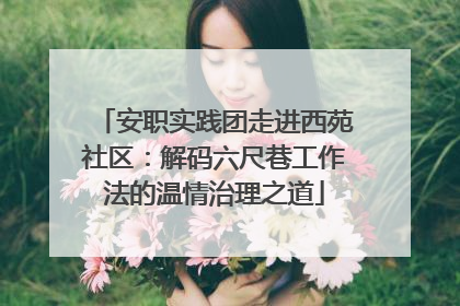 安职实践团走进西苑社区：解码六尺巷工作法的温情治理之道