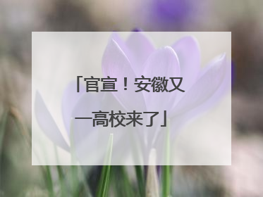 官宣！安徽又一高校来了