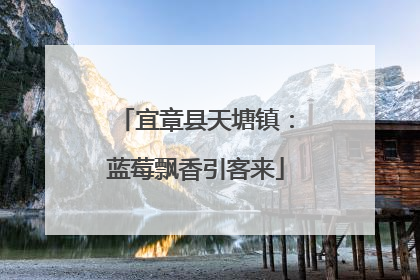 宜章县天塘镇：蓝莓飘香引客来