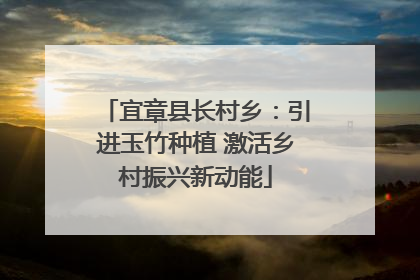 宜章县长村乡：引进玉竹种植 激活乡村振兴新动能