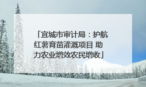 宜城市审计局：护航红薯育苗灌溉项目 助力农业增效农民增收
