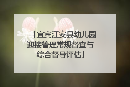 宜宾江安县幼儿园迎接管理常规督查与综合督导评估