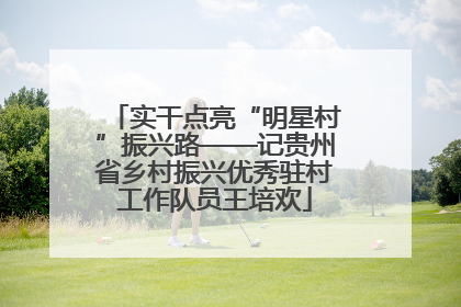 实干点亮“明星村”振兴路——记贵州省乡村振兴优秀驻村工作队员王培欢