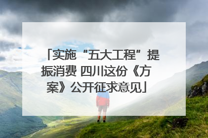 实施“五大工程”提振消费 四川这份《方案》公开征求意见