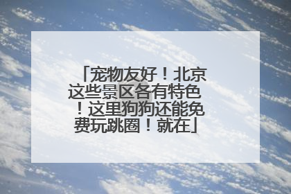 宠物友好！北京这些景区各有特色！这里狗狗还能免费玩跳圈！就在