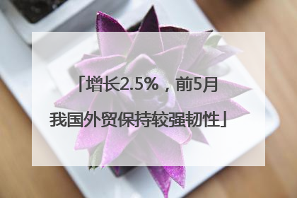 增长2.5%，前5月我国外贸保持较强韧性