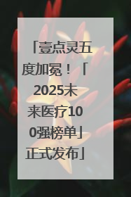 壹点灵五度加冕！「2025未来医疗100强榜单」正式发布