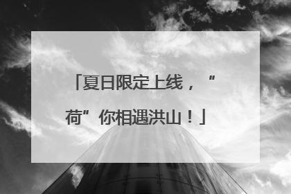 夏日限定上线，“荷”你相遇洪山！