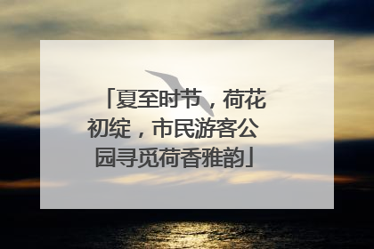 夏至时节，荷花初绽，市民游客公园寻觅荷香雅韵