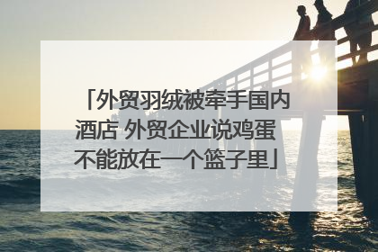 外贸羽绒被牵手国内酒店 外贸企业说鸡蛋不能放在一个篮子里