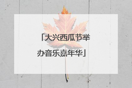 大兴西瓜节举办音乐嘉年华