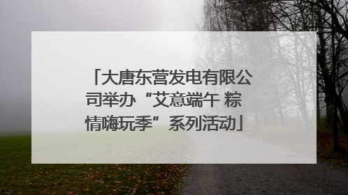 大唐东营发电有限公司举办“艾意端午 粽情嗨玩季”系列活动