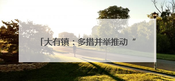 大有镇：多措并举推动“两清两改两治理”见成效