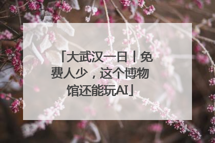 大武汉一日丨免费人少，这个博物馆还能玩AI