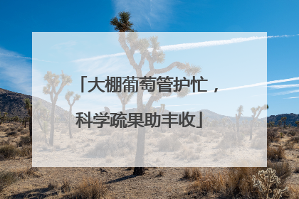 大棚葡萄管护忙，科学疏果助丰收