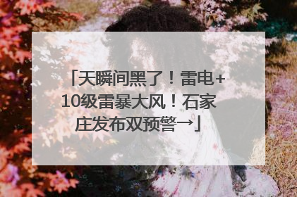 天瞬间黑了！雷电+10级雷暴大风！石家庄发布双预警→